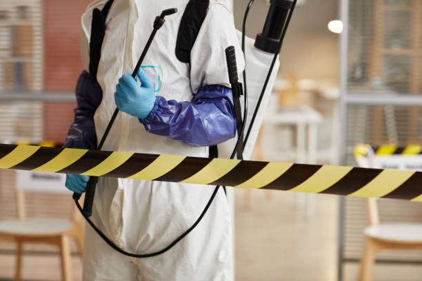 Professional Hoarding Cleanup technician working in Hillsborough, NH